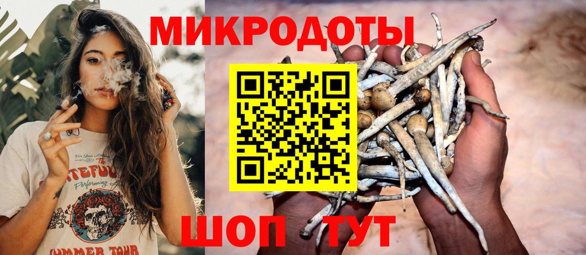 Галлюциногенные грибы Psilocybe  Вход с VPN  Ярославль 